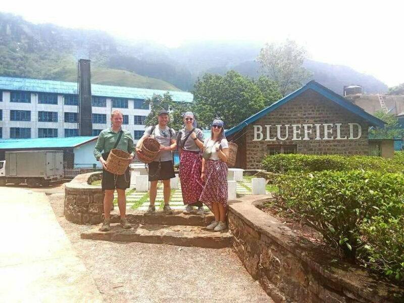 Nuwara Eliya: Tea Factory and Pickle Waterfalls Tuk Tuk Tour - FAQ
