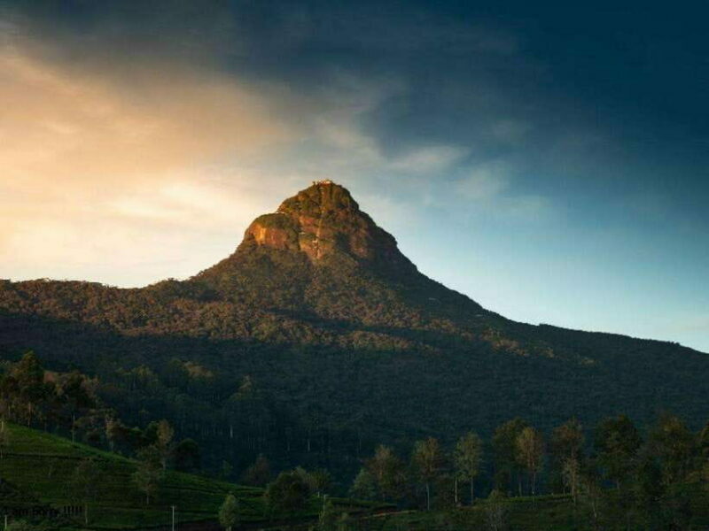 Nuwara Eliya to Summit Bliss: Adams Peak Overnight Hike - What Travelers Say: The Honest Feedback