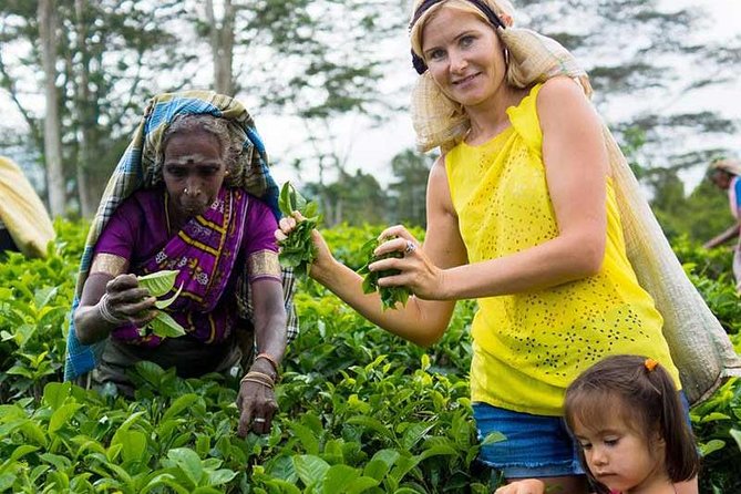 Nuwara Eliya Tour - Personalized Tour Experience