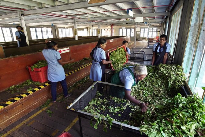 Nuwara Eliya Tour - Included Conveniences and Benefits