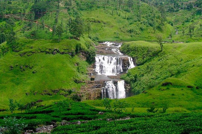 Nuwara Eliya Tour - Booking Information and Pricing