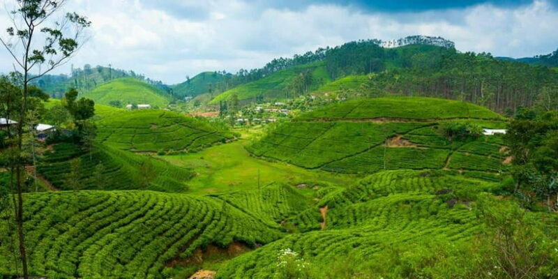 Nuwara Eliya Tour with Ramboda Waterfall, Ambuluwawa Tower - The Highlights: Why This Tour Excels
