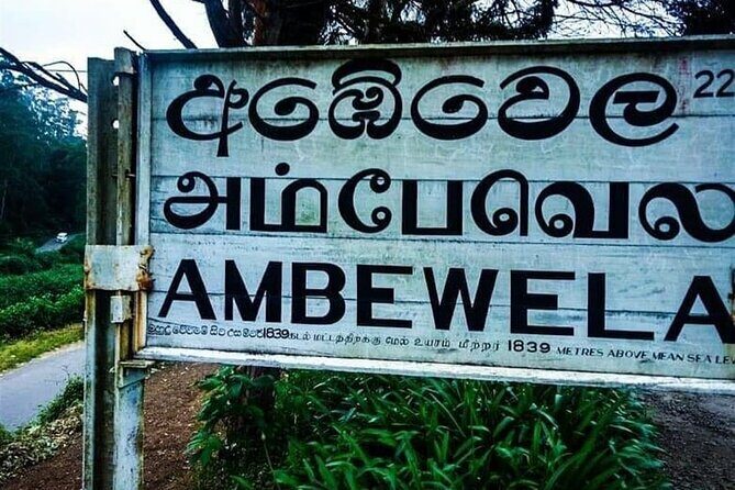Nuwaraeliya (Nanuoya) - Ella Train Tickets (Starts from Ambewela) - Authentic Scenic Highlights