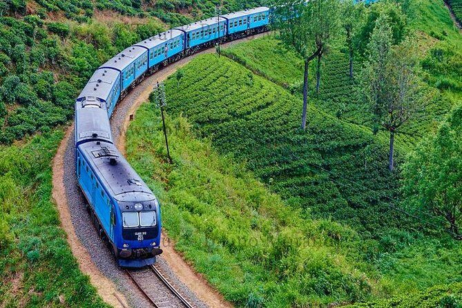 Nuwaraeliya (Nanuoya) - Ella Train Tickets (Starts from Ambewela) - Who is this best for?