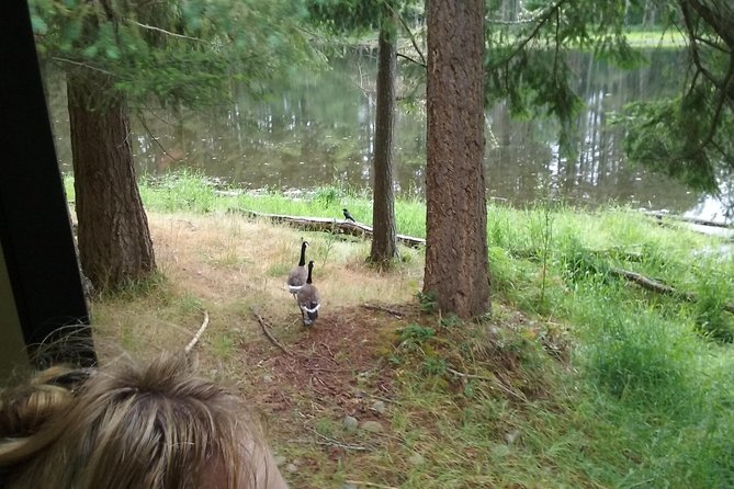 NW Trek - See Wild Animals in Natural Habitat - Inclusions and Offerings