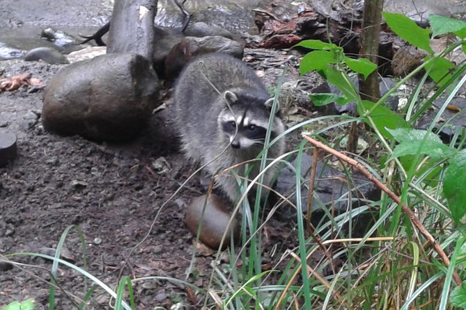 NW Trek - See Wild Animals in Natural Habitat - Tour Highlights and Itinerary