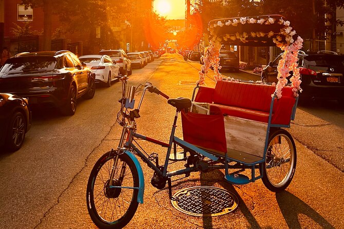 NYC Central Park Guided Pedicab Tour - 1 Hour - Meeting Point and Accessibility