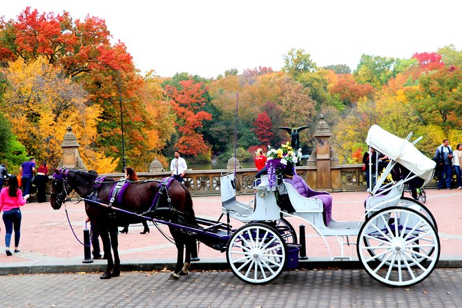 NYC Central Park Horse Carriage Ride (Up to 4 Adults) - Included in the Ride