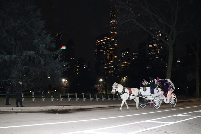 NYC Central Park Horse Carriage Ride (Up to 4 Adults) - Discover Central Parks Highlights