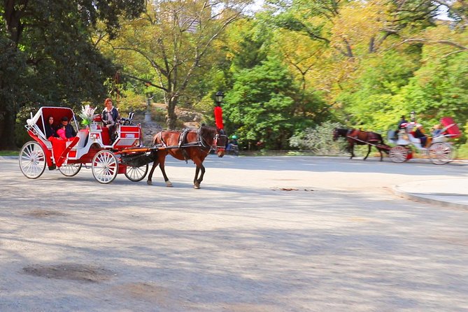 NYC Central Park Horse Carriage Ride (Up to 4 Adults) - Licensed Professional Guide
