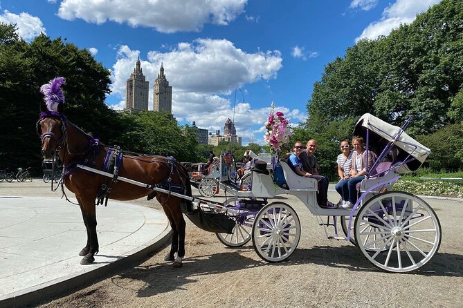 NYC Central Park Horse Carriage Rides - Accessibility and Additional Details