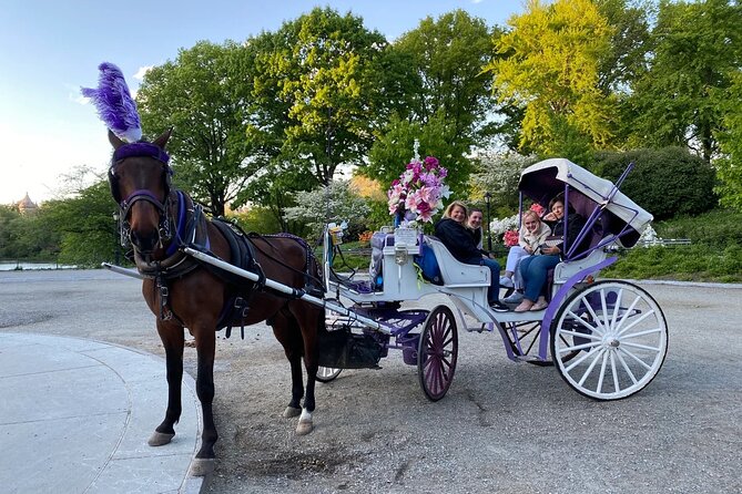 NYC Central Park Horse Carriage Rides - Booking and Cancellation Policy