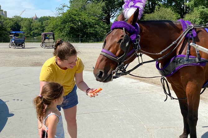 NYC Central Park Horse Carriage Rides - Photo Opportunities