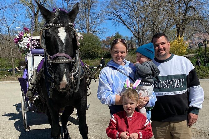 NYC Central Park Horse Carriage Rides - Family-Friendly Experience