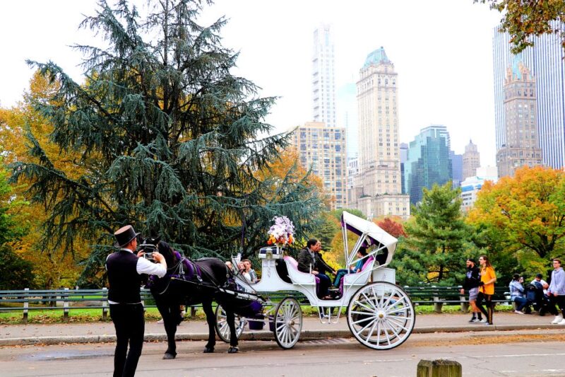 NYC: Central Park Horse-Drawn Carriage Ride (up to 4 Adults) - Language and Tour Guide