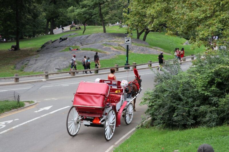 NYC: Central Park Horse-Drawn Carriage Ride (up to 4 Adults) - Tour Itinerary and Highlights