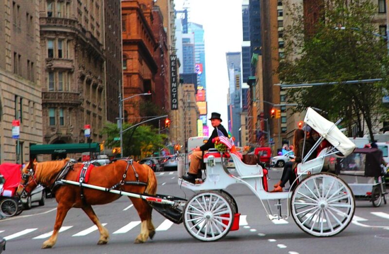 NYC: Central Park Horse-Drawn Carriage Ride (up to 4 Adults) - Included Features and Amenities