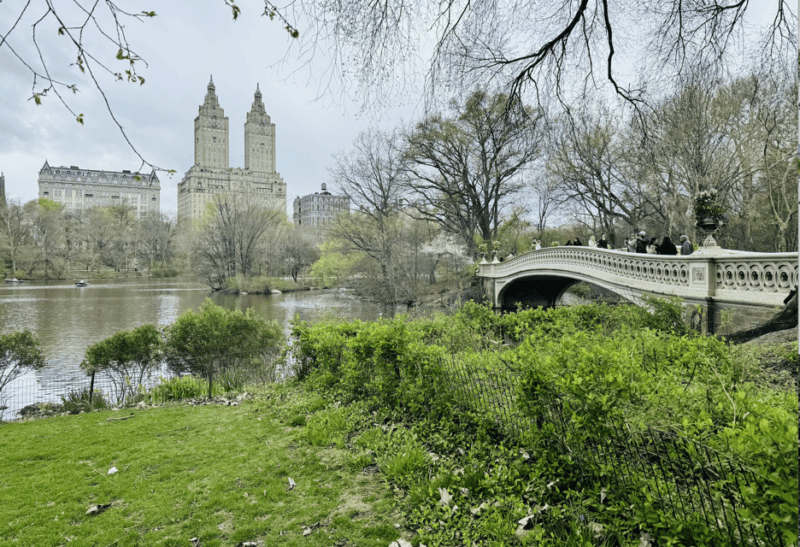 NYC: Central Park Rickshaw Tour / Private and Guided - Meeting Point