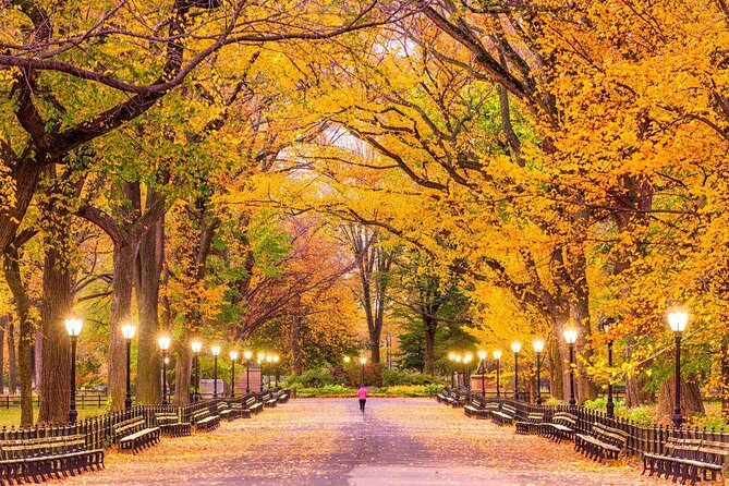 NYC Central Park Rollerblade Rental - Key Points