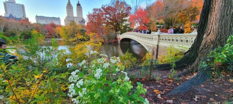 NYC: Central Park Secrets and Highlights Walking Tour - Key Points