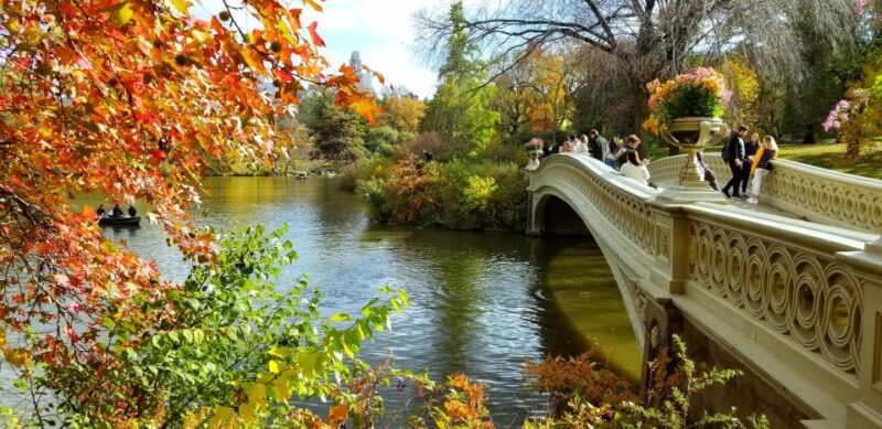NYC: Central Park Secrets and Highlights Walking Tour - Tour Experience and Highlights