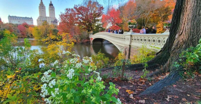 NYC: Central Park Secrets and Highlights Walking Tour - Guided Tour Features