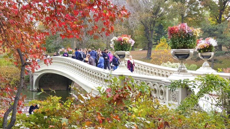 NYC: Central Park Secrets and Highlights Walking Tour - Booking and Customer Reviews