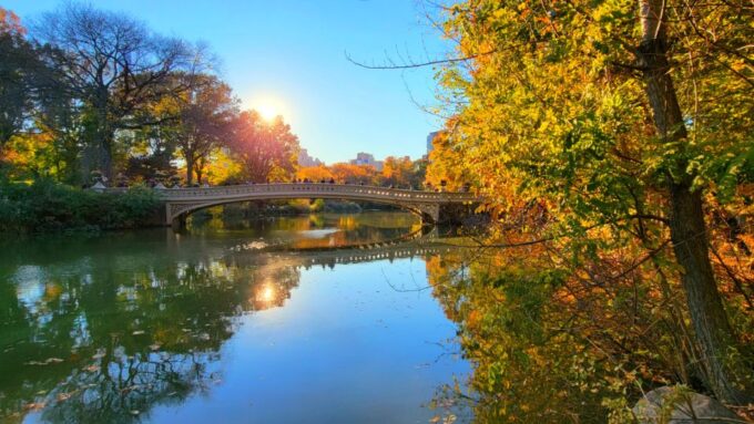 NYC: Central Park Secrets and Highlights Walking Tour - Parks History, Wildlife, and Pop Culture