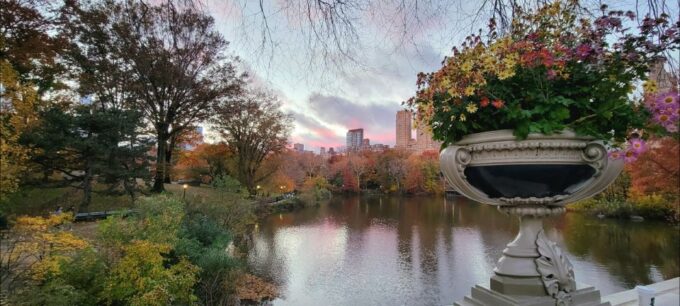 NYC: Central Park Secrets and Highlights Walking Tour - Picturesque Locations for Photography