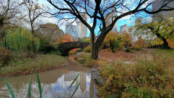 NYC: Central Park Secrets and Highlights Walking Tour - Meeting Point and Accessibility