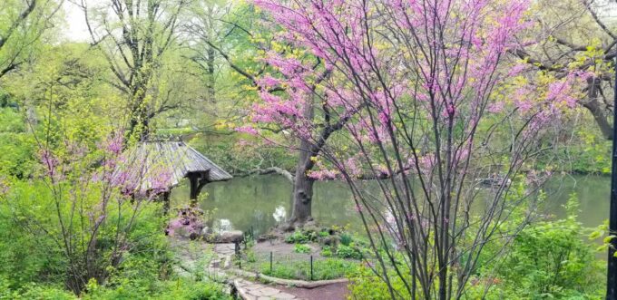 NYC: Central Park Secrets and Highlights Walking Tour - Frequently Asked Questions