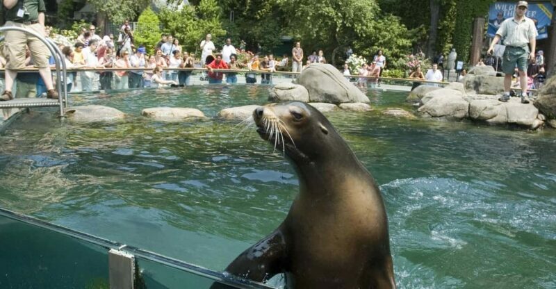 NYC: Central Park Zoo Entry Ticket & Manhattan Walking Tour - Final Words