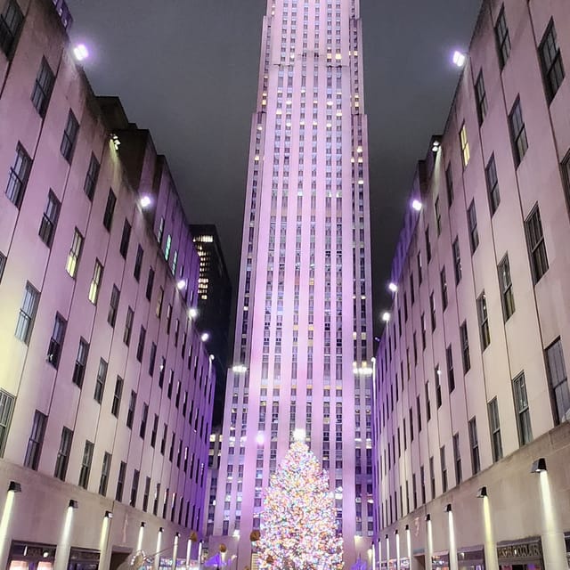 NYC: Christmas Lights Horse Carriage Ride - Key Points