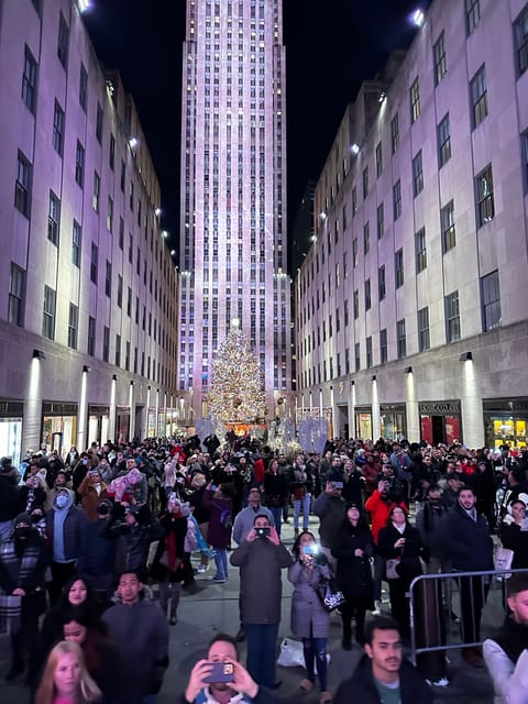 NYC: Christmas Lights Horse Carriage Ride - Itinerary Highlights