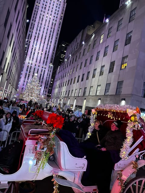 NYC: Christmas Lights Horse Carriage Ride - Included Features