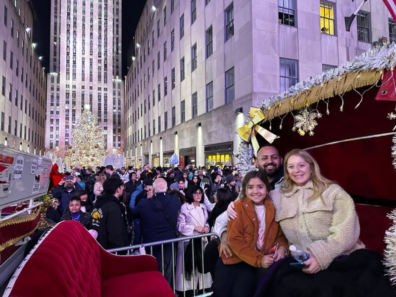 NYC: Christmas Lights Horse Carriage Ride - Customer Ratings