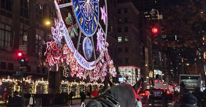 NYC: Christmas Lights Horse Carriage Ride - Preparing for the Ride