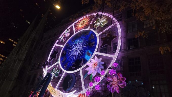 NYC: Christmas Lights Horse Carriage Ride - Memorable Moments