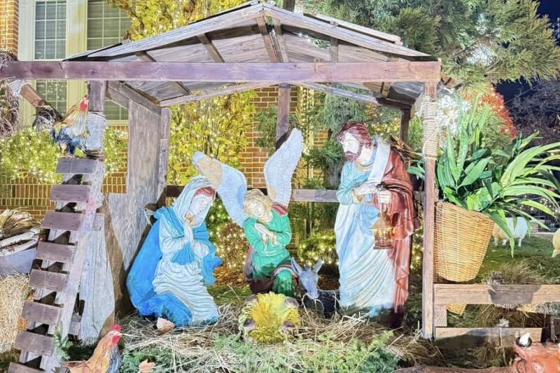 NYC: Dyker Heights Christmas Lights Trolley Tour - A Detailed Look at the Experience