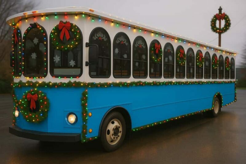 NYC: Dyker Heights Christmas Lights Trolley Tour - Final Thoughts
