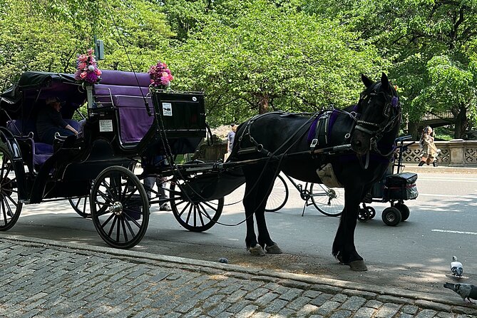 NYC Empire State Horses Carriage Ride in Central Park (45 Mins) - Highlights Along the Way