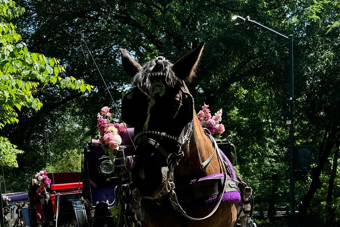 NYC Empire State Horses Carriage Ride in Central Park (45 Mins) - Pricing and Cancellation Policy