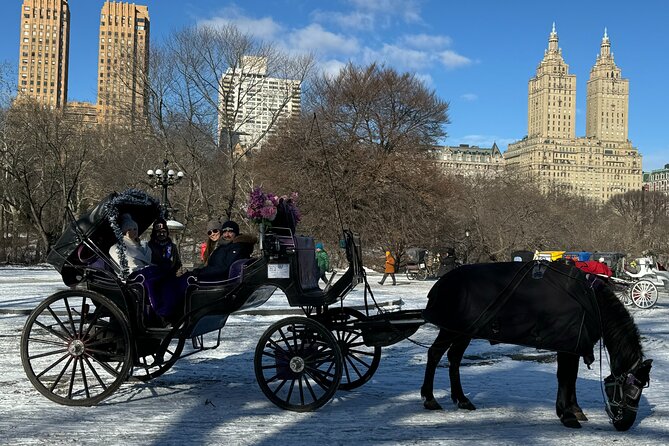 NYC Empire State Horses Carriage Ride in Central Park (45 Mins) - Customer Feedback