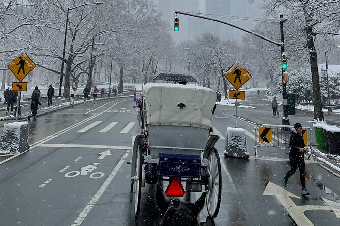 NYC Empire State Horses Carriage Ride in Central Park (45 Mins) - Book Your Adventure