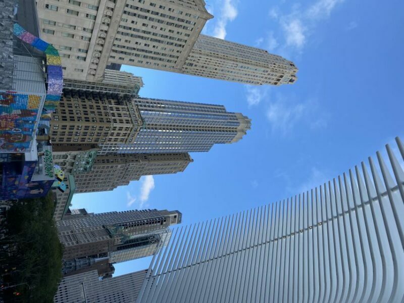 NYC | French guided tour Southern Manhattan - An In-Depth Look at the Tour Experience