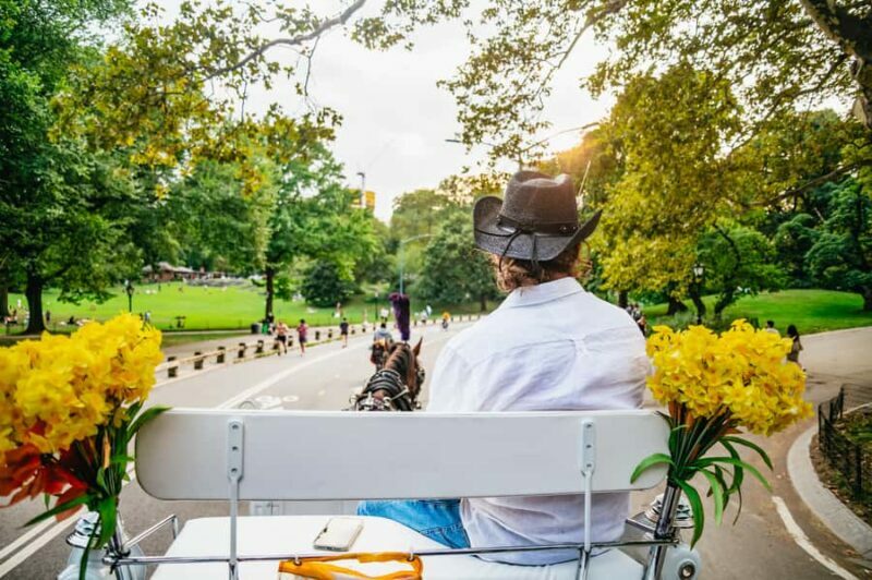 NYC: Guided Central Park Horse Carriage Ride - The Experience in Detail