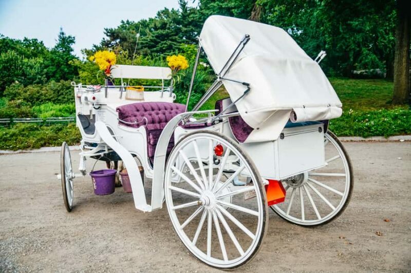 NYC: Guided Central Park Horse Carriage Ride - Pricing and Value