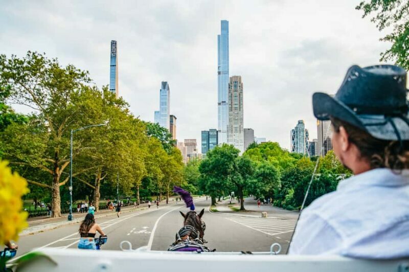 NYC: Guided Central Park Horse Carriage Ride - The Guide and Horses