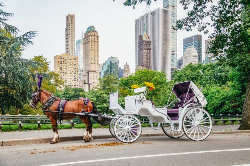NYC: Guided Central Park Horse Carriage Ride - Experience Highlights
