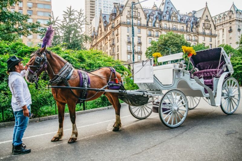 NYC: Guided Central Park Horse Carriage Ride - Tour Details and Features